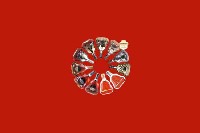 潍坊市坊子区回收红酒